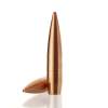 Cutting Edge Bullets 416 Caliber (0.416